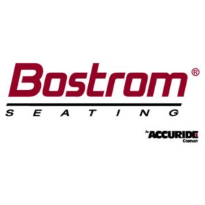 Bostrom