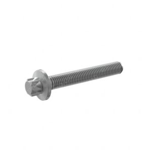 Screw