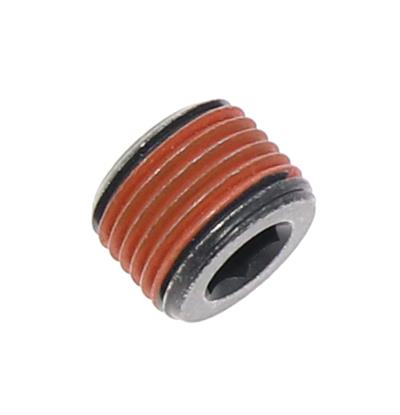 Freightliner 23-13848-001 1/2 Pipe Plug, Hollow Hex