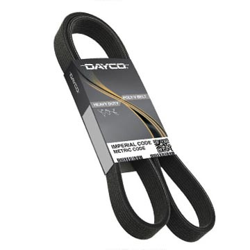 Dayco 5100640 Belt, Poly Rib, Gold Label