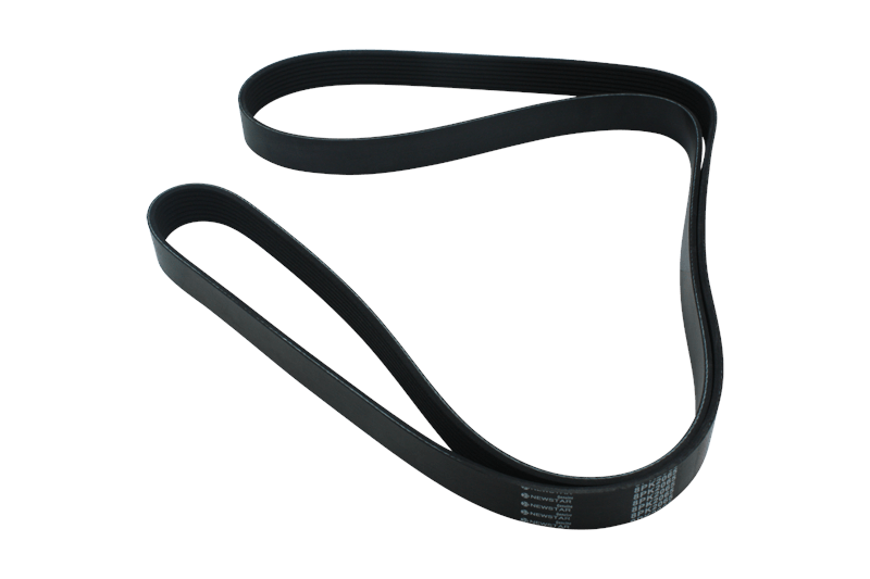 S&S Newstar S-25558 Serpentine Belt, 8 Rib