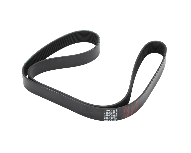 S&S Newstar S-29562 10 Rib Belt